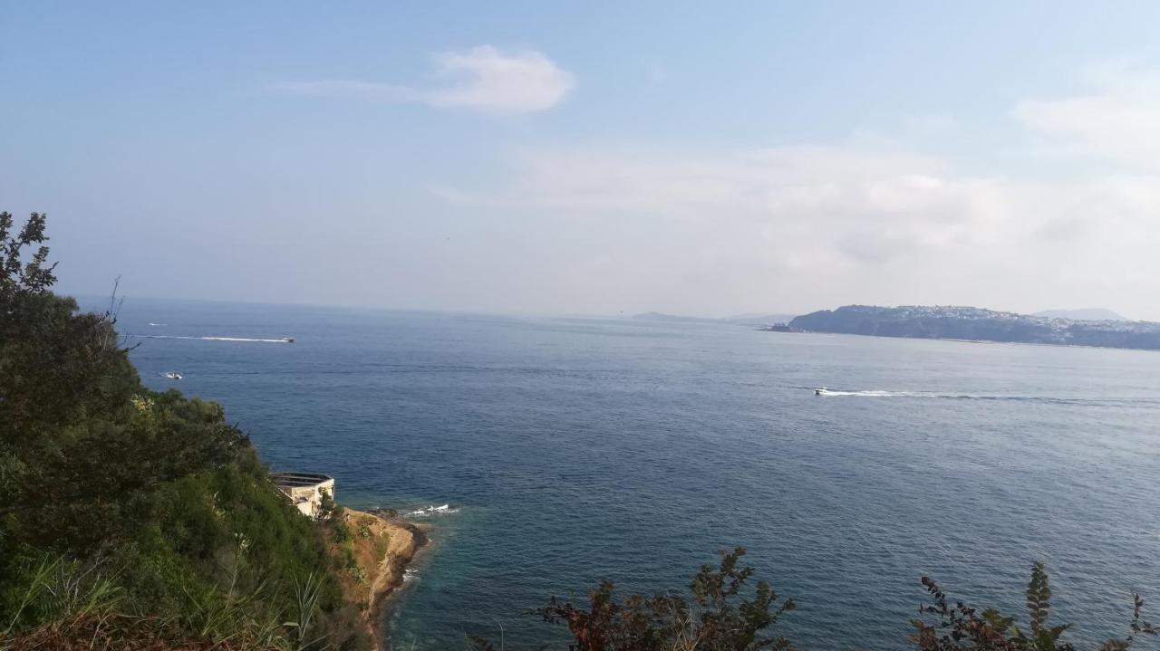 普罗奇达Le Querce别墅 外观 照片